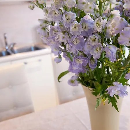 Bed & Breakfast Ca' Cappellis Venice